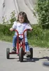 Dreirad Groß Produktbild-Vorschau 5