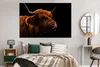 MuchoWow® Poster Schottisches Hochlandrind - Zunge - Nase Produktbild-Vorschau 4