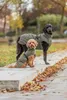TRIXIE Hundemantel Minot - olivgrün Produktbild-Vorschau 5