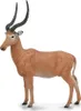 Collecta Hirola antilope figura Marrone 3-6 anni Marrone Anteprima dell’immagine prodotto 2
