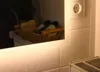 Badspiegel Beleuchtet nach Maß LED Forte Allround Outline Produktbild-Vorschau 4