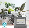 A collection of houseplants with a smart watering device in the foreground. Anteprima dell’immagine prodotto