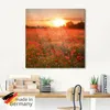 ARTland Glasbild Mohnblumenfeld bei Sonnenuntergang Größe: Produktbild-Vorschau 5