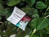 BIOCONT LABORATORY, spol. s r.o. Parazitické helminty proti Náhľad obrázku produktu 2