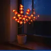 Maximex Solar LED Gartenstecker Orchideen, 2er Set, Produktbild-Vorschau 6