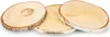 Birkenscheiben Ø ca.12 - 14 cm, 5 Stück, Stärke 1 cm | Produktbild-Vorschau 5
