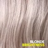 Wella Professionals Invigo Blonde Recharge Shampoo Produktbild-Vorschau 15