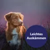 Canosept Fellpflegespray für Hunde 250 ml Produktbild-Vorschau 2