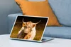 MuchoWow® Laptop Aufkleber Sticker Cover Schottische Produktbild-Vorschau 4