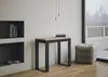 Ausziehbare Konsole 90x40/300 cm Gestell Tecno Evolution Produktbild-Vorschau 2