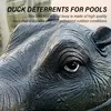Realistische schwimmende Nilpferdkopf-Teichdekorationen, Produktbild-Vorschau 3