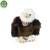 RAPPA Plüschvogel Adler 24 cm ECO-FRIENDLY Produktbild-Vorschau 4