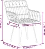 vidaXL Tuinstoelen, 2 stuks met armleuningen, 56x64x80 cm, Productafbeelding-voorbeeld 8