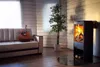 A living room scene with a couch, guitar, plant, and a modern fireplace. Produktbild-Vorschau