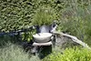 A garden scene with a stone basin and a potted plant. Produktbild-Vorschau