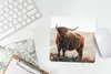 MuchoWow® Mauspad Mousepad Schottische Highlander - Tiere - Produktbild-Vorschau 5