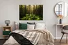 MuchoWow® Poster Bäume - Wald - Moos - Pflanzen - Sonne - Produktbild-Vorschau 4