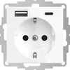 2USB Schutzkontakt-Steckdose mit USB-Ladeausgang - 1-fach Produktbild-Vorschau 1