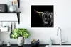 MuchoWow® MuchoWow® Gerahmtes Poster Schottisches Produktbild-Vorschau 3