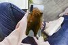 MuchoWow® Handyhülle Schutzhülle Hülle für Samsung Galaxy Produktbild-Vorschau 3