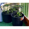 Three black tomato grower pots with tomato plants on a balcony. Produktbild-Vorschau