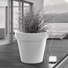 Prosperplast 212l Lexo Kollektion 80x80x74 Cm Blumentopf Produktbild-Vorschau 4