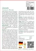 SAFLAX - Löwenzahn - Taraxacum officinale - 200 Samen - Mit Produktbild-Vorschau 3