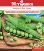 Dürr-Samen - Wintererbsen Sima - Saatgut - 4354 Produktbild-Vorschau 4