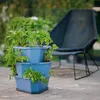 Gusta Garden 100301, Untersetzer, Polypropylenkarbonat Produktbild-Vorschau 6