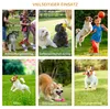 PawHut Hunde Agility Hürden Set Hundetraining Hindernislauf Produktbild-Vorschau 5