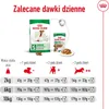 Royal Canin Mini Adult 8+, Dorosły, Mini (5 - 10 kg), Podgląd zdjęcia produktu 11