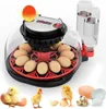 Incubateur automatique, incubateur pour 12 œufs, couveuse Voir les images du produit 1