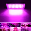 LED diody rostou světlo plné spektrum zeleniny a květin Náhled obrázku produktu 6