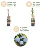 Green boutiQ - Fruchtpflanze - Vaccinium corymbosum Produktbild-Vorschau 4