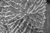 riess-ambiente Filigranes Beistelltisch 2er Set ABSTRACT Produktbild-Vorschau 6
