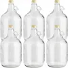 lilawelt24 6 x 5L Glasballon (Gallone) mit Rundgriff & Produktbild-Vorschau 1
