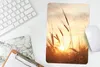 MuchoWow® Mauspad Mousepad Schilf - Gras - Sonnenuntergang Produktbild-Vorschau 5