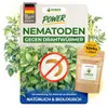 Nematoden gegen Drahtwürmer – 10 Mio. - Effektiv Produktbild-Vorschau 1