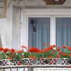 Silikon-Kamera-Haut, leichte Schutzhülle für Arlo Pro Produktbild-Vorschau 2