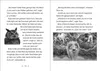 Der letzte Feuerfalke und das Wolkenland (Band 7) Produktbild-Vorschau 2