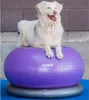 FitPAWS Balle de fitness pour chiens TRAX Donut 55 cm Voir les images du produit 4
