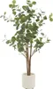 ML-Design umelý eukalyptus 120 cm, umelá rastlina s kmeňom Náhľad obrázku produktu 1