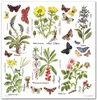 Scrapbooking-Papier Set 30×30 cm – SLS-035 Herbarium – ITD Produktbild-Vorschau 4