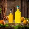 KADAX sklenená fľaša na tinktúru 500 ml so zlatým uzáverom Náhľad obrázku produktu 7