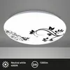 BRILONER KORA LED Plafonnier, lumière blanche neutre, Voir les images du produit 2