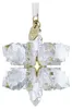 Swarovski 3D Ornament Neuheit 2026 5731941 Produktbild-Vorschau 3