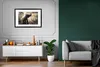 MuchoWow® MuchoWow® Gerahmtes Poster Elefant mit Person in Produktbild-Vorschau 8