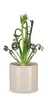 Scheurich 828/28 Uebertoepfe Sesame; 28 cm x 28 cm x 25,2 Produktbild-Vorschau 4