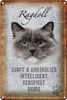Blechschild Spruch 20x30cm Ragdoll Katze sanft Schild Produktbild-Vorschau 2