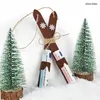 Nordstern Miniatur Ski - Mini Skier ideal für Produktbild-Vorschau 4